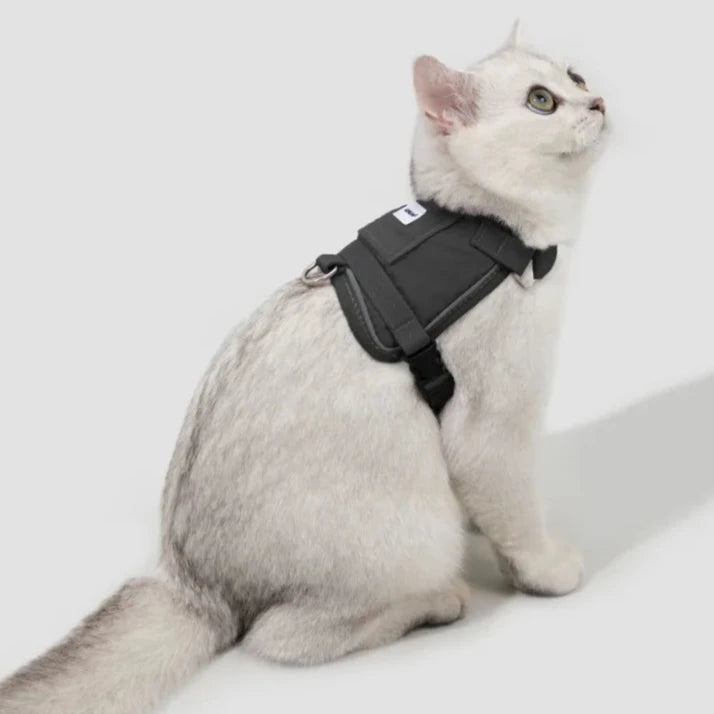 HiDream Vest Series Kattsele - Djurslottet