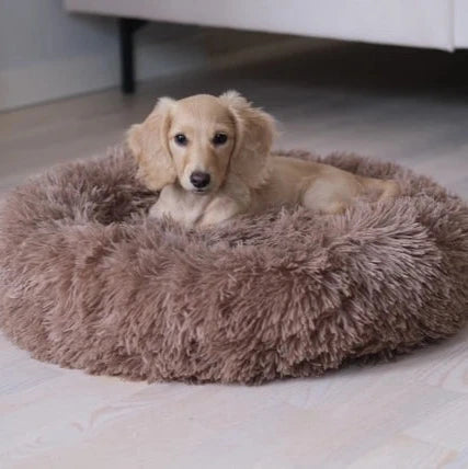 Comfydonut - Djurslottet