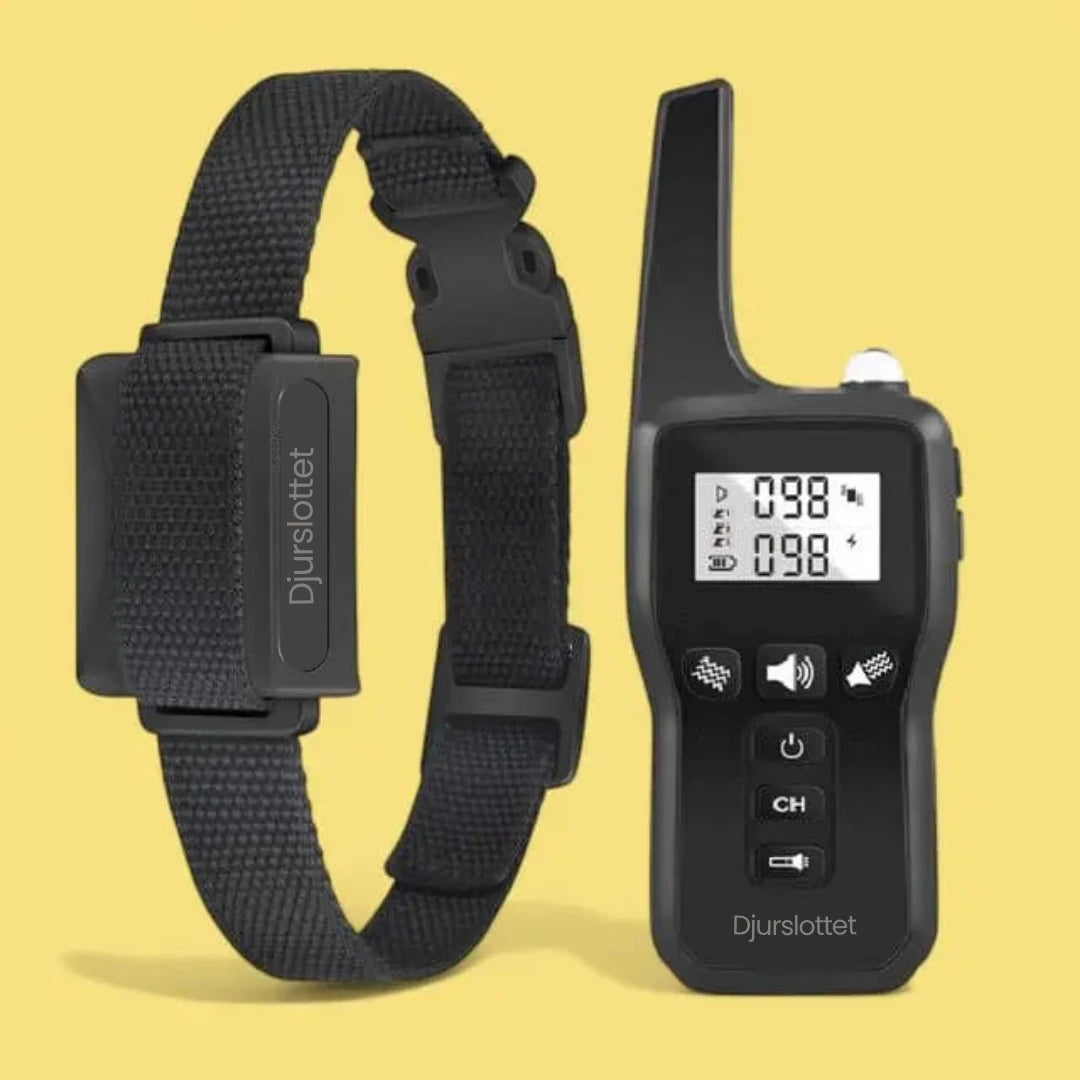 Antiskall_halsband_svart med kontroll - Djurslottet