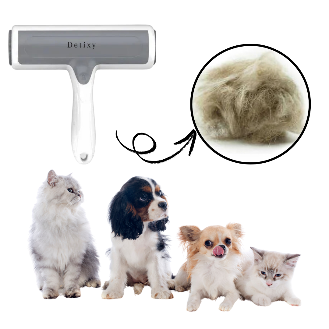 Detixy Pälsborttagare - Djurslottet