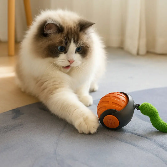 Felineo Spinball Kattleksak 2.0 katt som leker med kattleksaken - Djurslottet