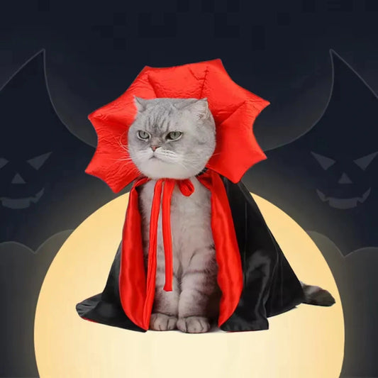 Halloweenkostym för katt Design som imponerar - Djurslottet