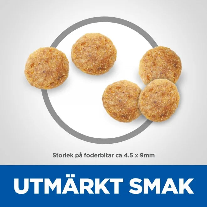 Hill_sSciencePlanCatAdultChicken-Djurslottet - Torrfoder för katter