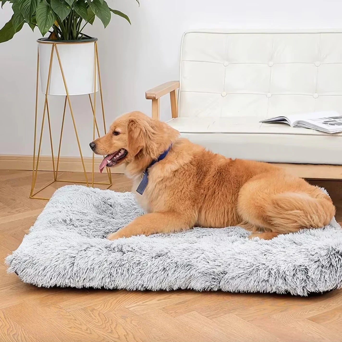 Fluffig Hundbädd,
Hundbädd Tvättbar, CozyCloud Fluffig djurbädd - Djurslottet