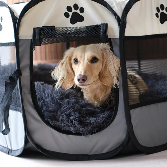 Furry Fiesta Lekhage - Djurslottet