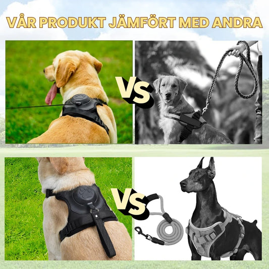 Hundsele med inbyggt flexikoppel Vår produkt jämförs med andra - Djurslottet