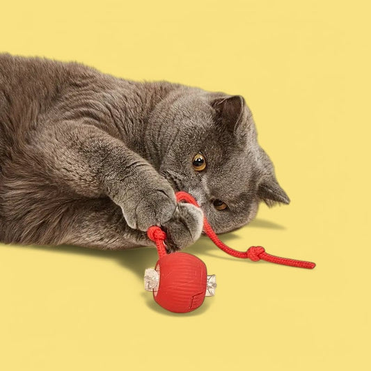 Interaktiv Kattleksak, 
Felineo Spinball, Felineo Spinball kattleksak