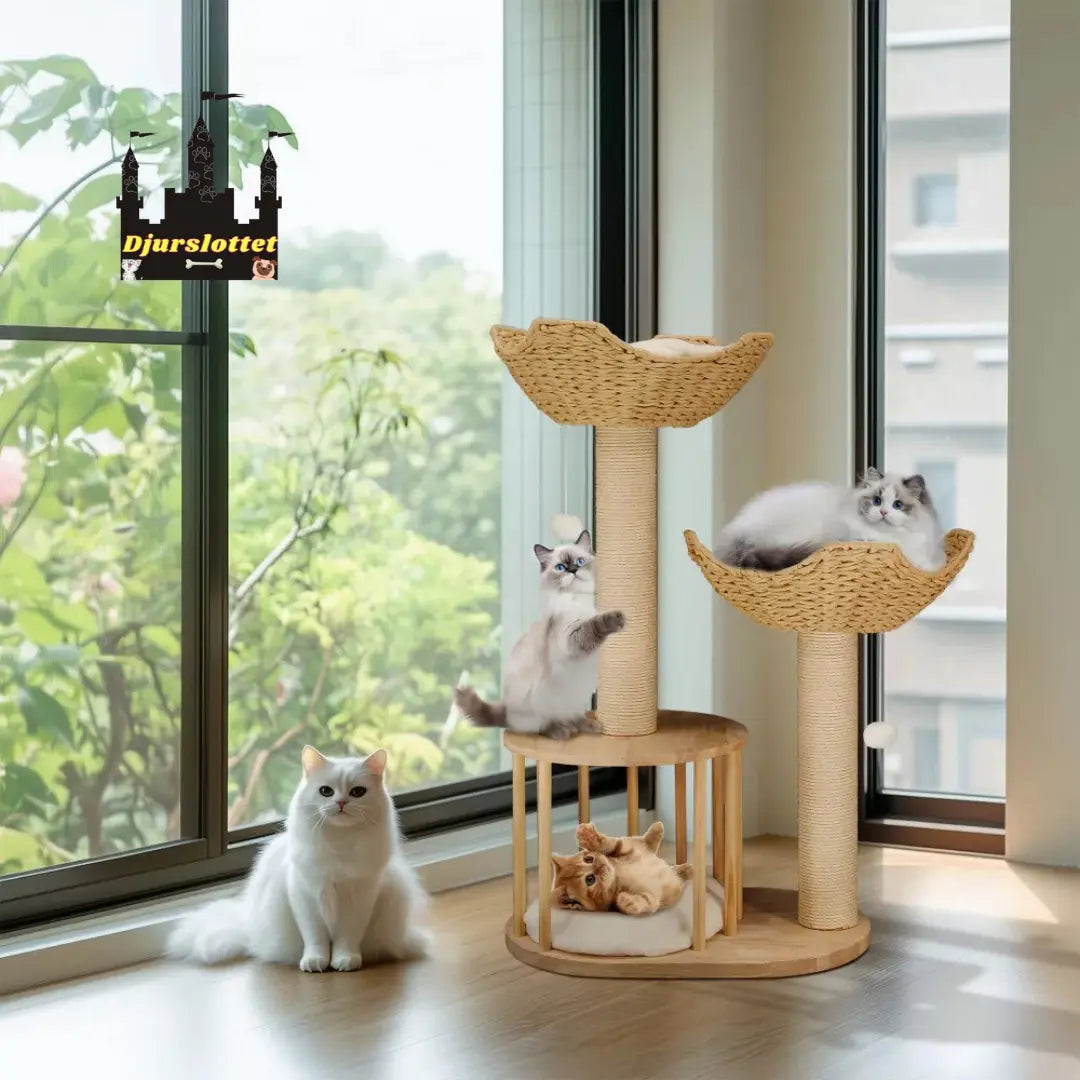 Klösträd i naturträ med korg och koja Komfort på varje nivå - Djurslottet