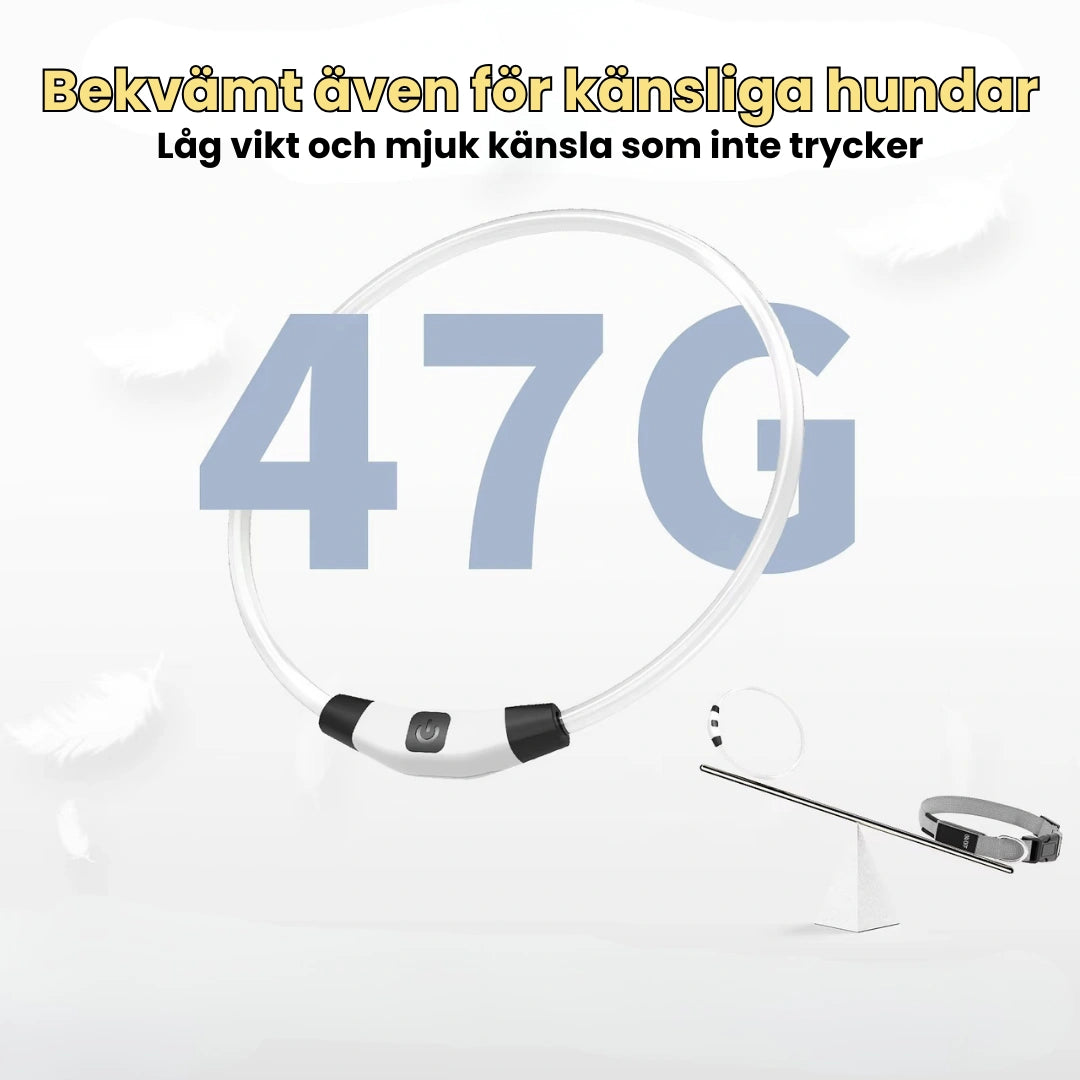 LED Halsband för Hund & Katt Bekvämt även för känsliga hundar - Djurslottet