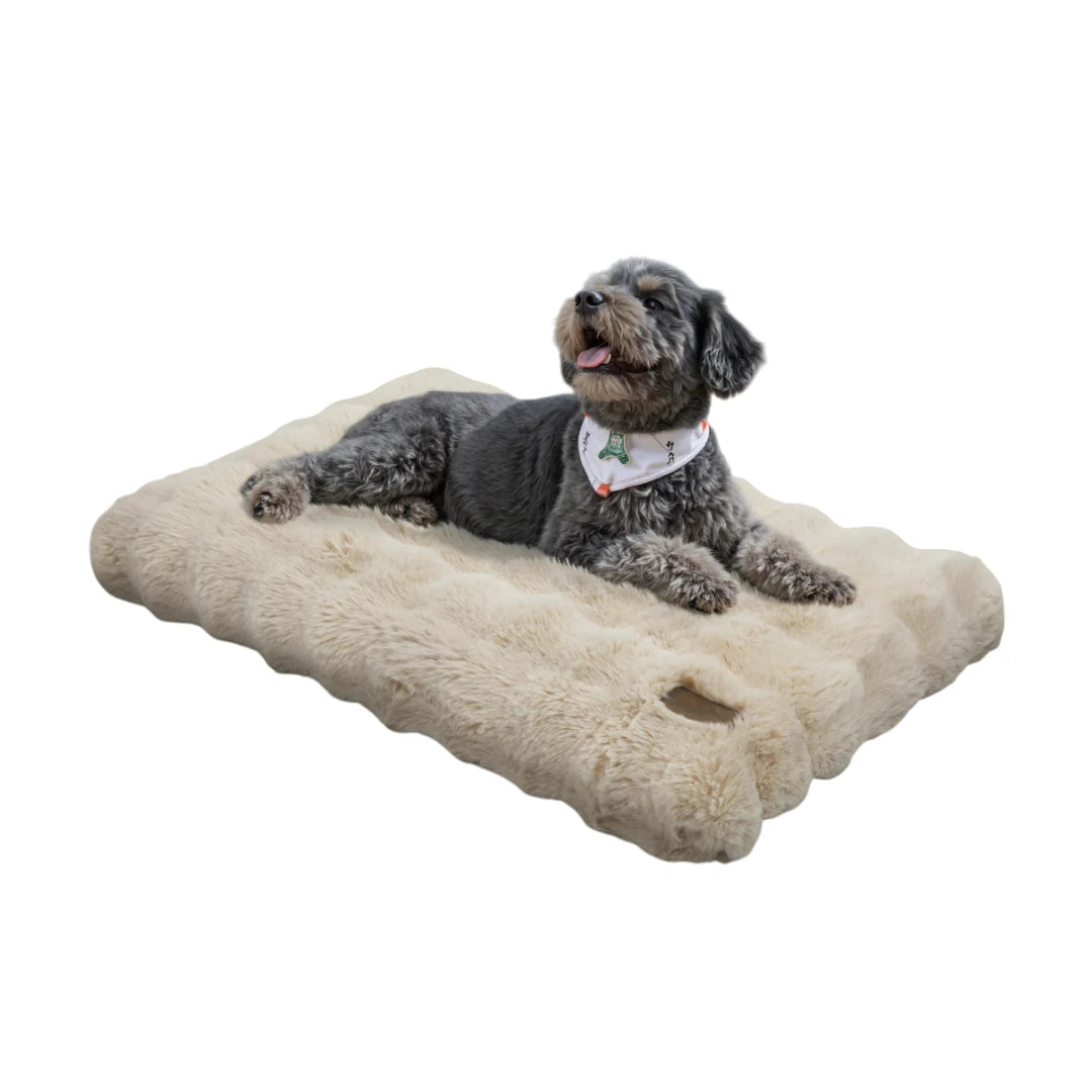 Mjuk hundmadrass för stora och små hundar - Djurslottet