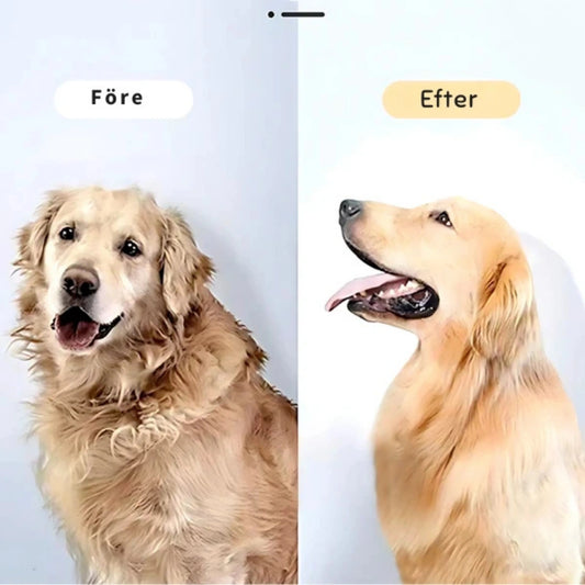 Petdryer Pro pälsfön före och efter - Djurslottet