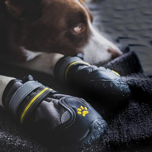 Hundskor Vinter, 
Skor Till Hund Snö, SnowGrip Vattentäta Hundskor (Reflekterande) - Djurslottet