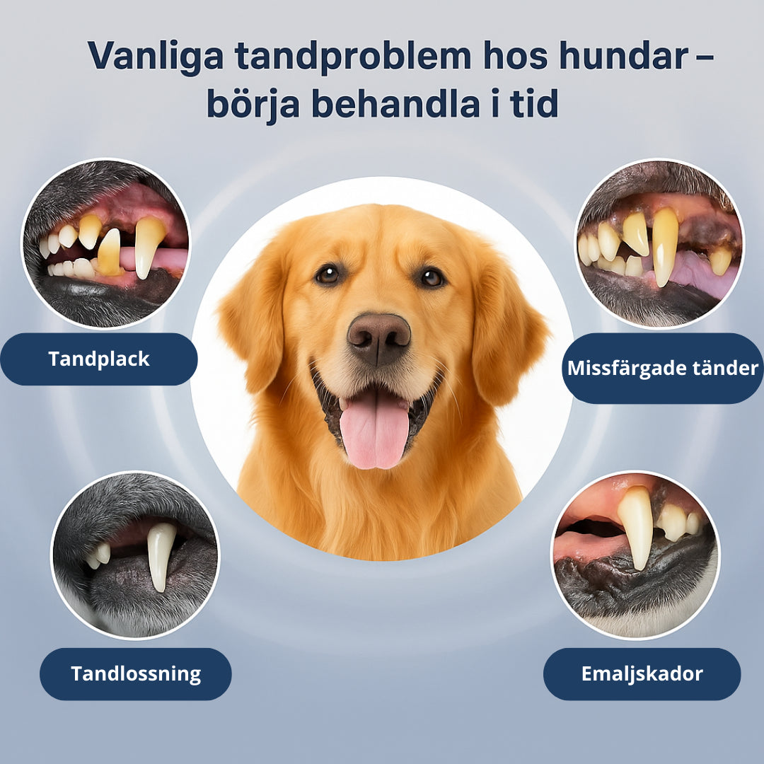 Detixy Tandskrapa Ultraljud