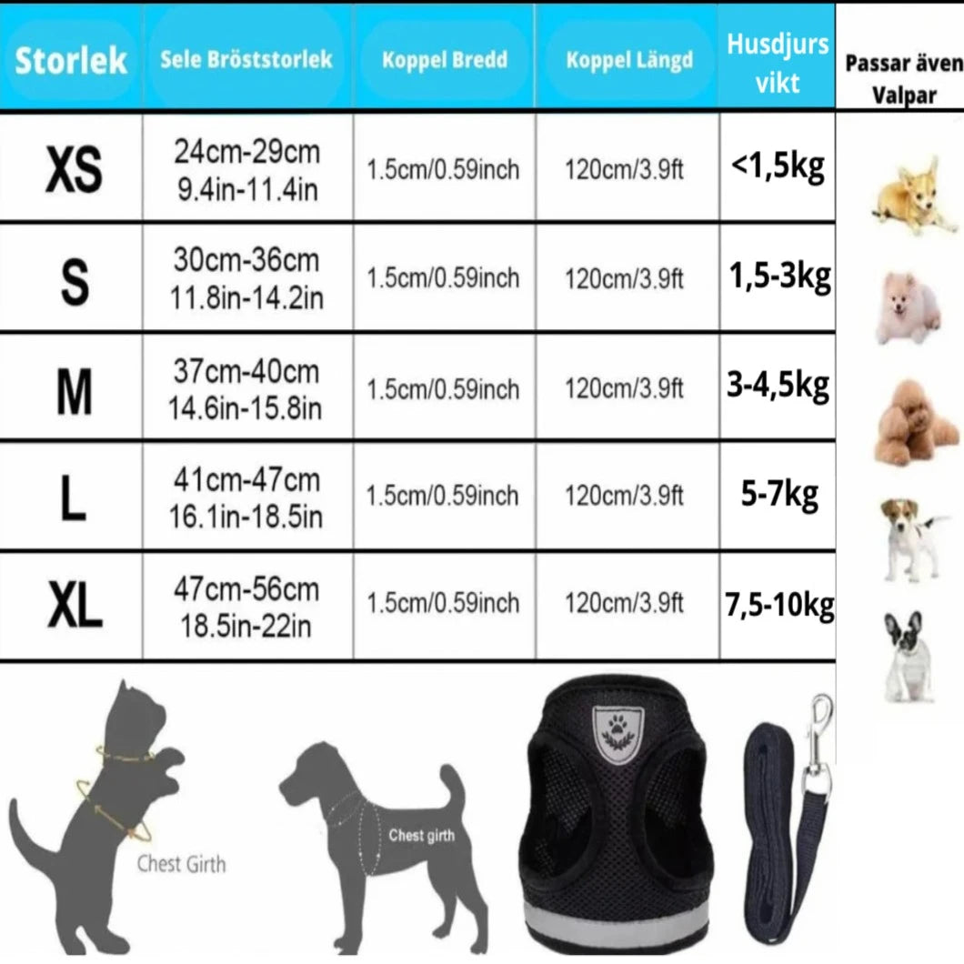 Rymningssäker Sele Katt,
Kattsele Med Koppel, Detixy Kattsele med koppel