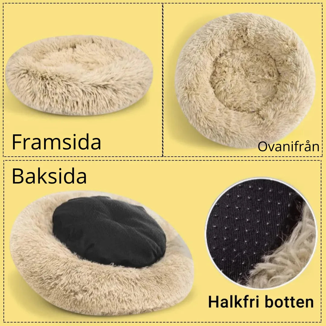 bild på olika sidor av hundbädden