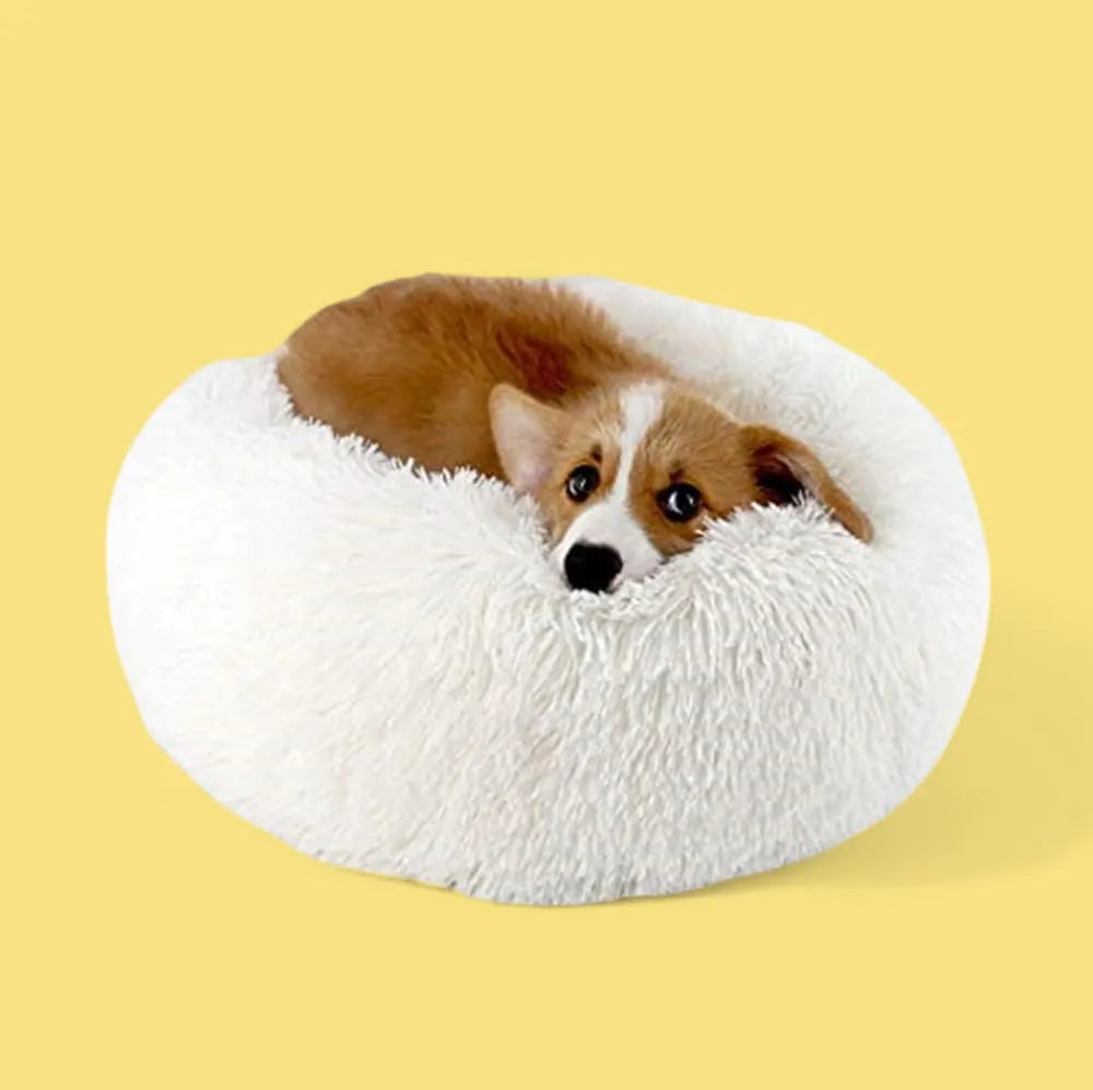 Comfydonut - Djurslottet