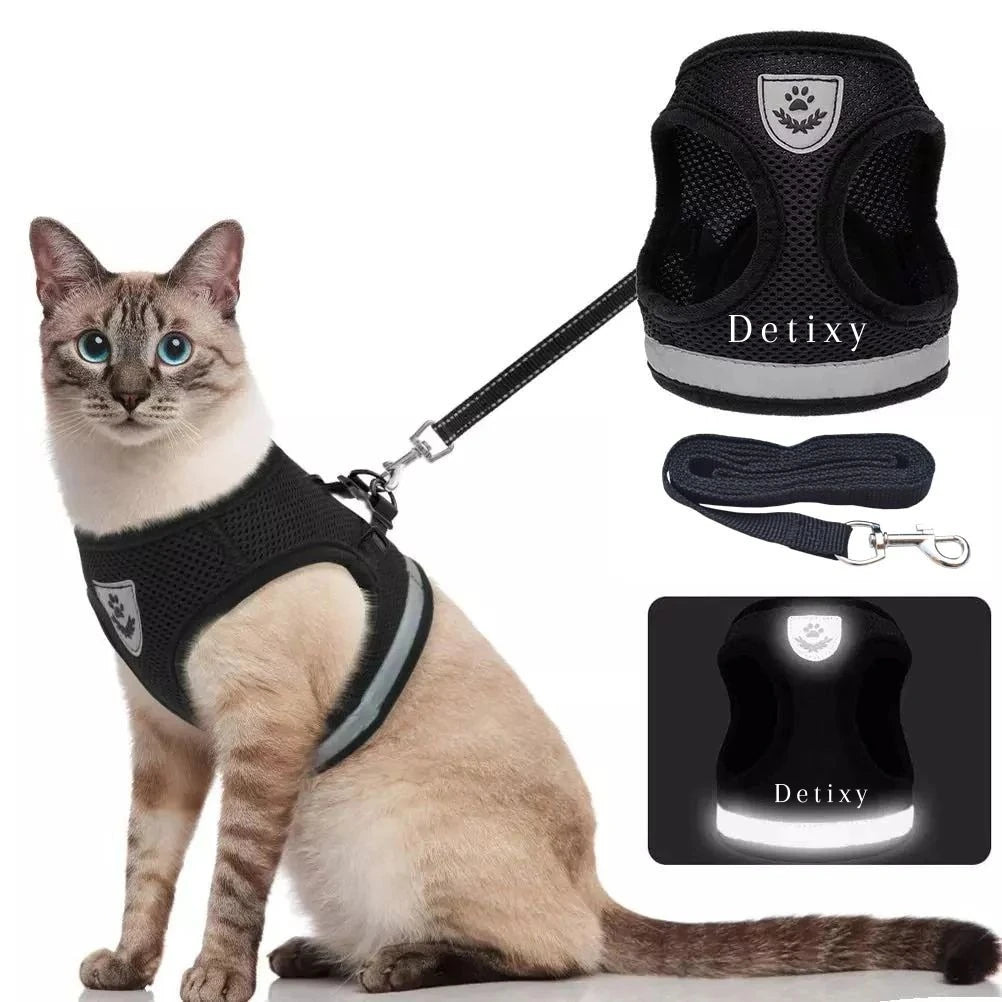 Rymningssäker Sele Katt,
Kattsele Med Koppel, Detixy Kattsele med koppel