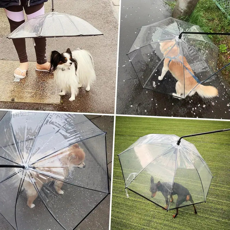 RainPaw Hundparaply Med Koppel - Djurslottet