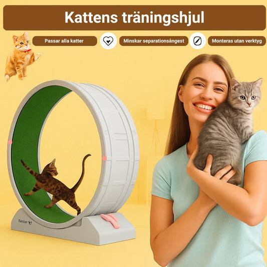 kattens traningshjul - djurslottet