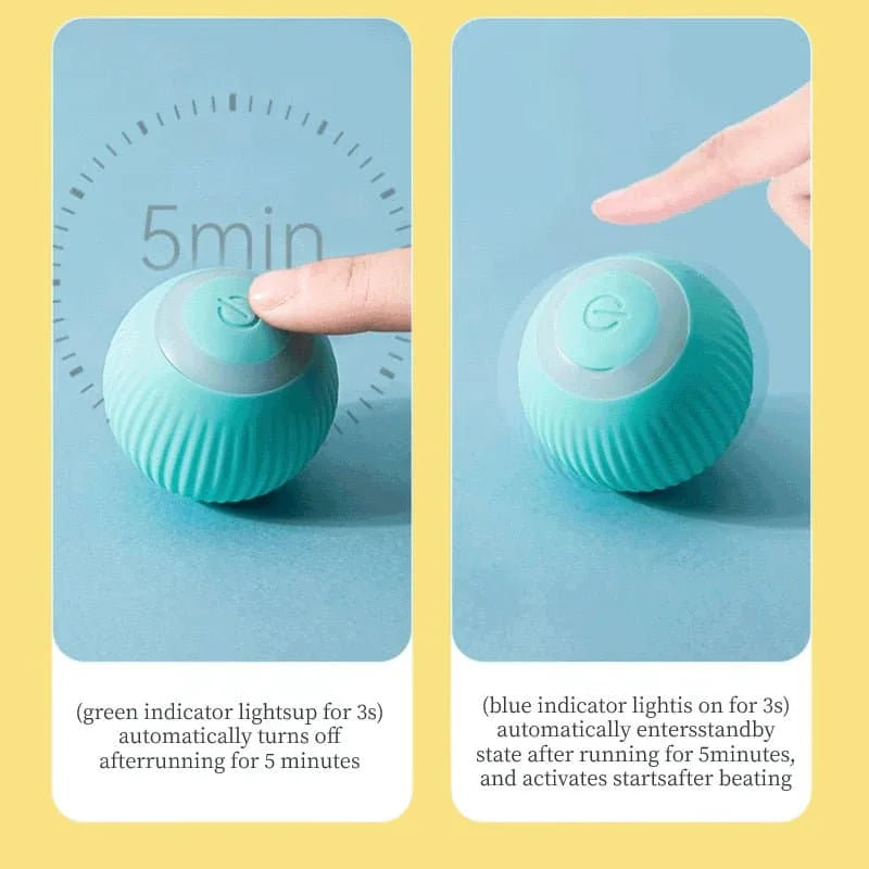 Kattleksak Boll,
Kattleksak Boll Som Rör Sig, Rolling boll - Djurslottet