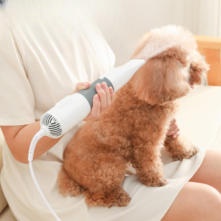 Bästa Hundfönen,
Hundfönar Till Hund, PetDryer Pälsfön - Djurslottet