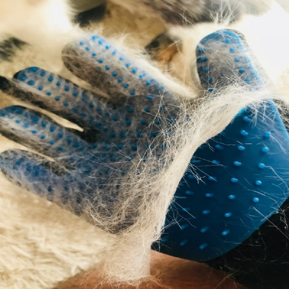 Grooming Handske,
Borsta Katt Handske, Pälshandske - Djurslottet