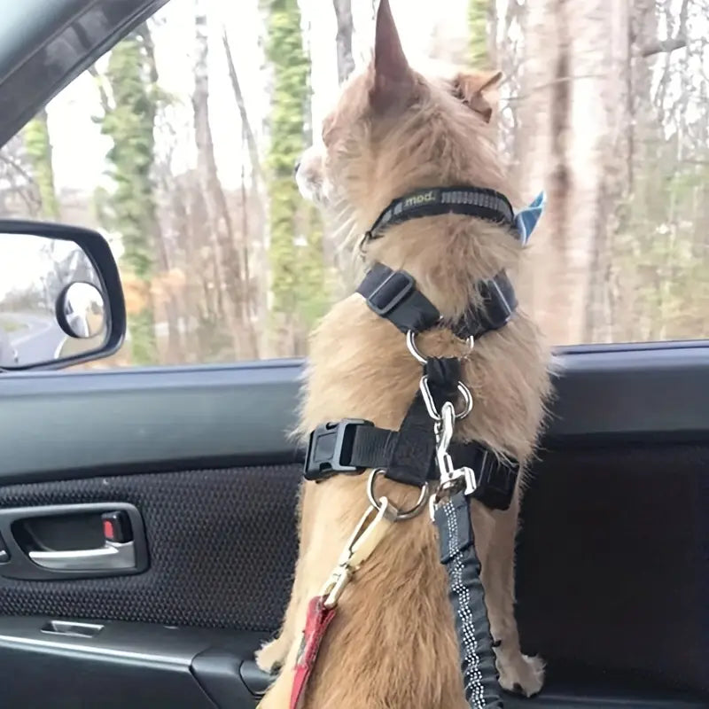 Säkerhetsbälte För Hund,
Hundsele För Bil, Säkerhetsbälte för husdjur - Djurslottet