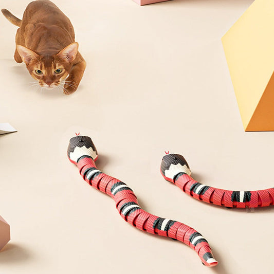 Interaktiv Kattleksak,
Automatisk Kattleksak, Automatisk Leksakorm för katter - Djurslottet