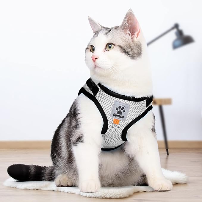 Rymningssäker Sele Katt,
Kattsele Med Koppel, Detixy Kattsele med koppel