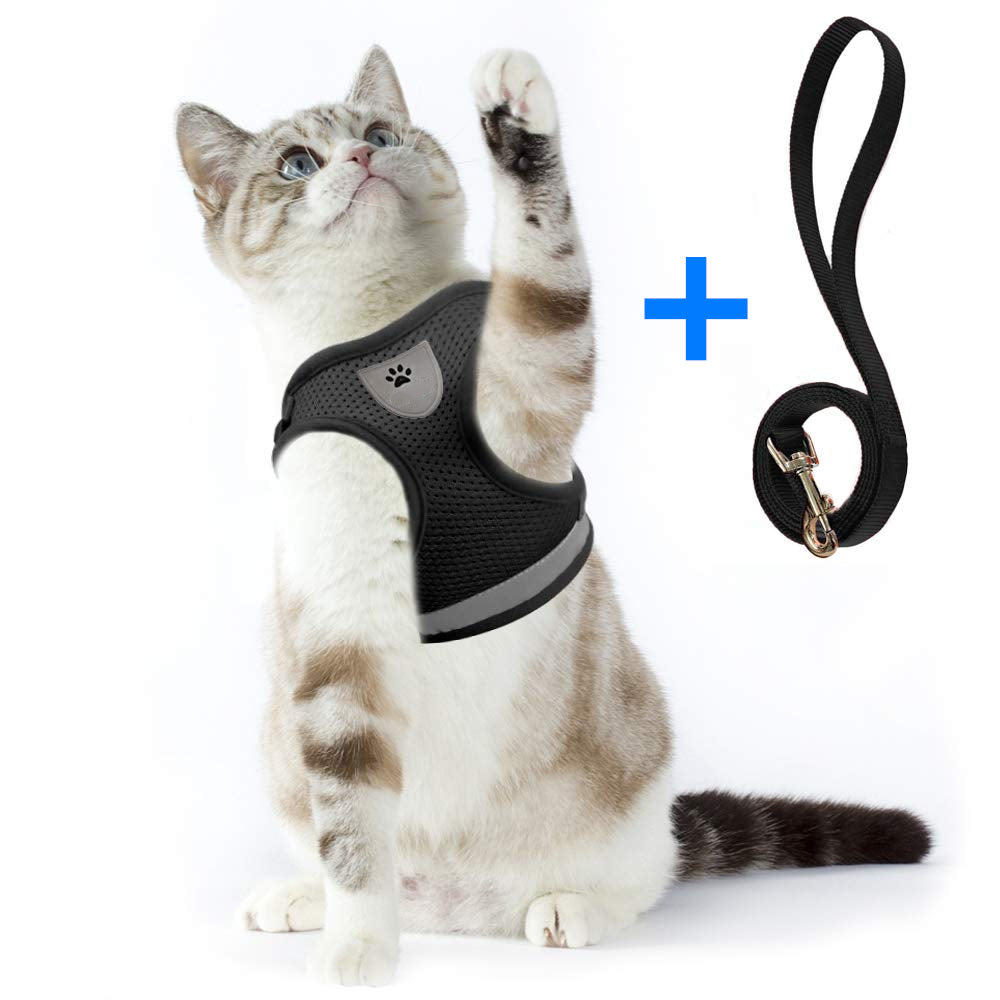 Rymningssäker Sele Katt,
Kattsele Med Koppel, Detixy Kattsele med koppel