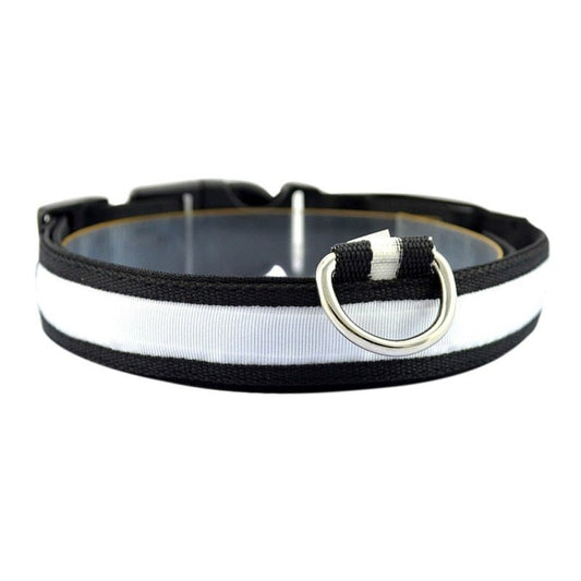 Lysande Halsband Till Hund, 
Lysande Hundkoppel, Ljushalsband - djurslottet