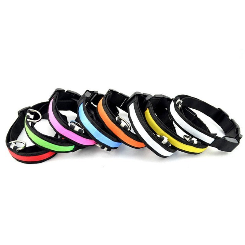 Ljushalsband - djurslottet