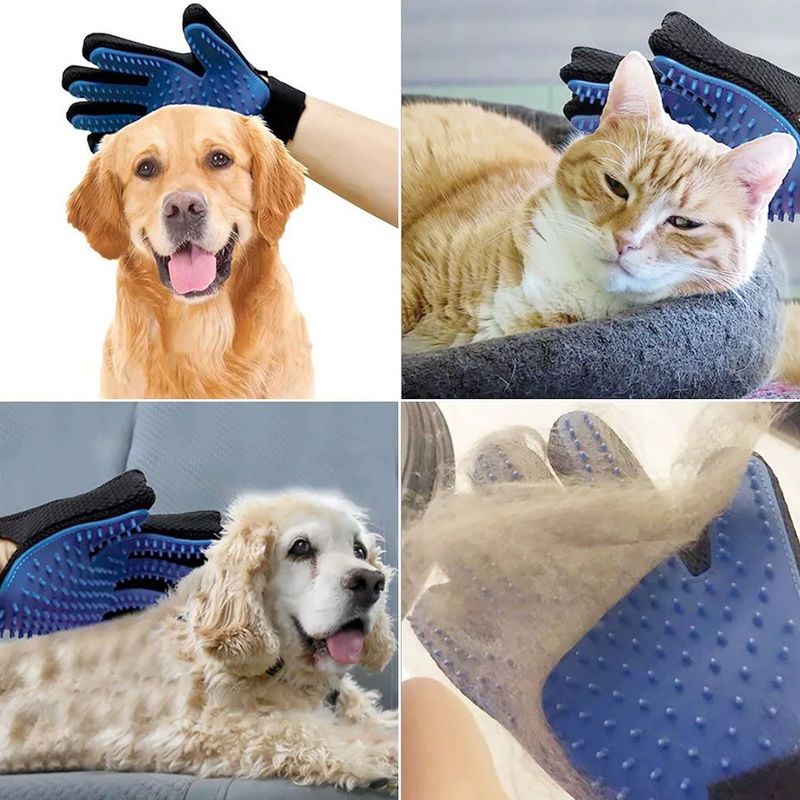 Grooming Handske,
Borsta Katt Handske, Pälshandske - Djurslottet