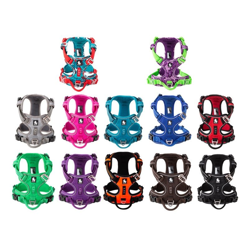 Hundsele Reflex,
Kattsele Reflex, ReflexFit Justerbar Hundsele - djurslottet