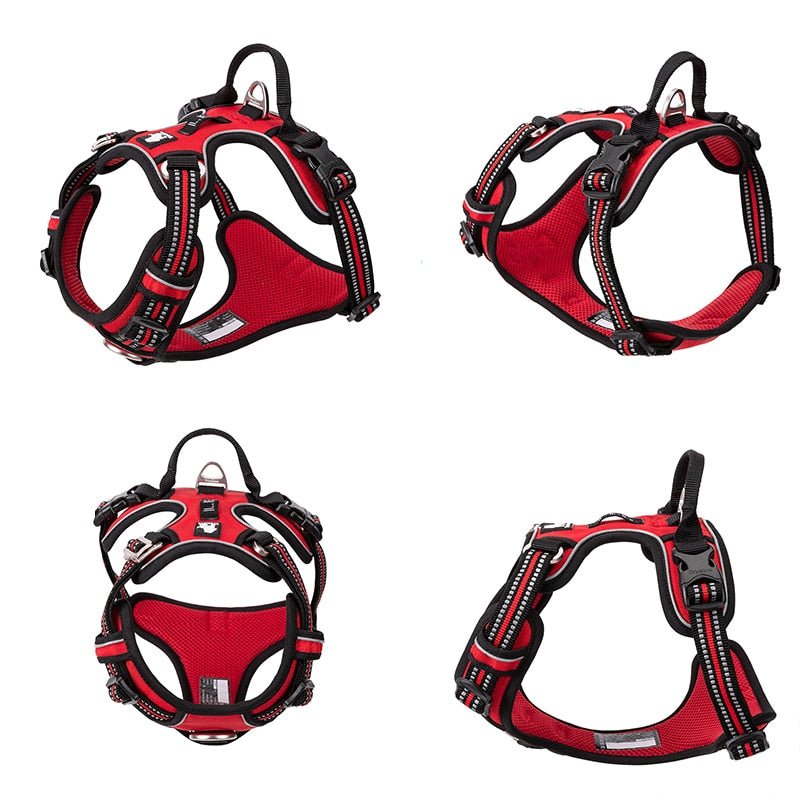 Hundsele Reflex,
Kattsele Reflex, ReflexFit Justerbar Hundsele - djurslottet