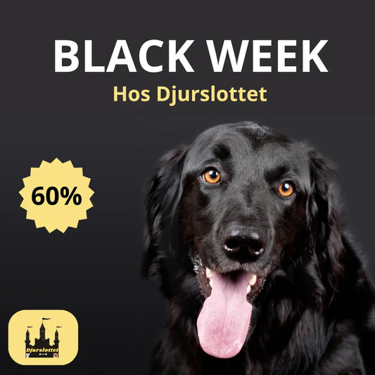 Black week hos Djurslottet - Rea på hund och kattillbehör, foder, godis, leksaker och mycket mer. Handla med över 60% REA