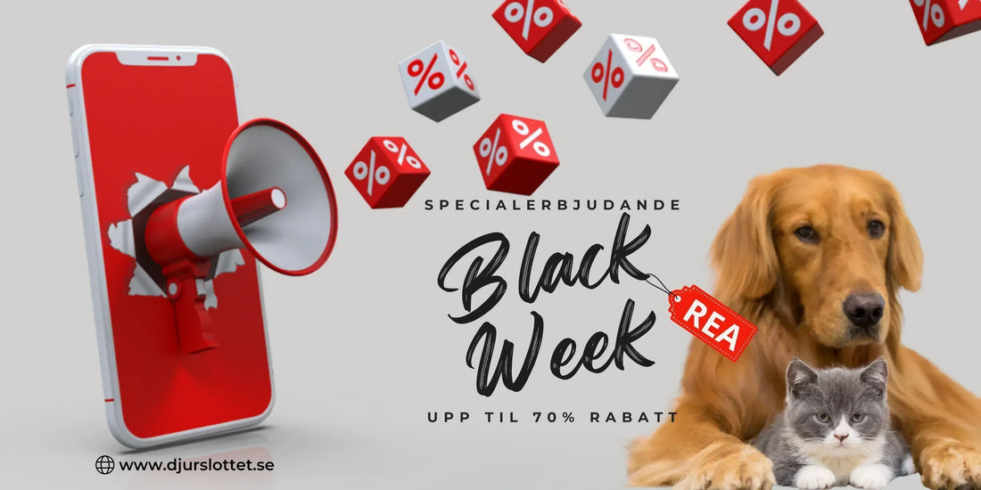 Så här maxar du Black Week 2025: Upp till 70 % rabatt på djurtillbehör