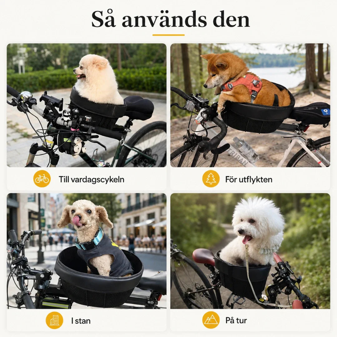 Liten hund åker tryggt med i cykelkorg på sommarcykeltur - Djurslottet