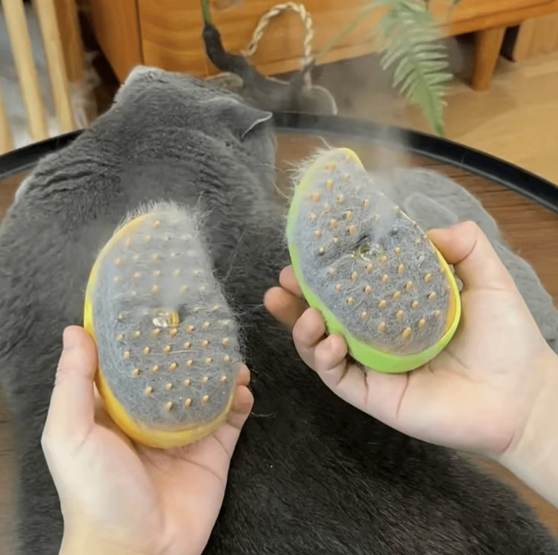 Tips på hur du kan minska pälsavfall hos din katt & hund - Djurslottet