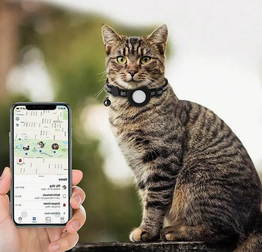 katthalsband med gps - tips och råd för dig som vill skaffa gps till din katt