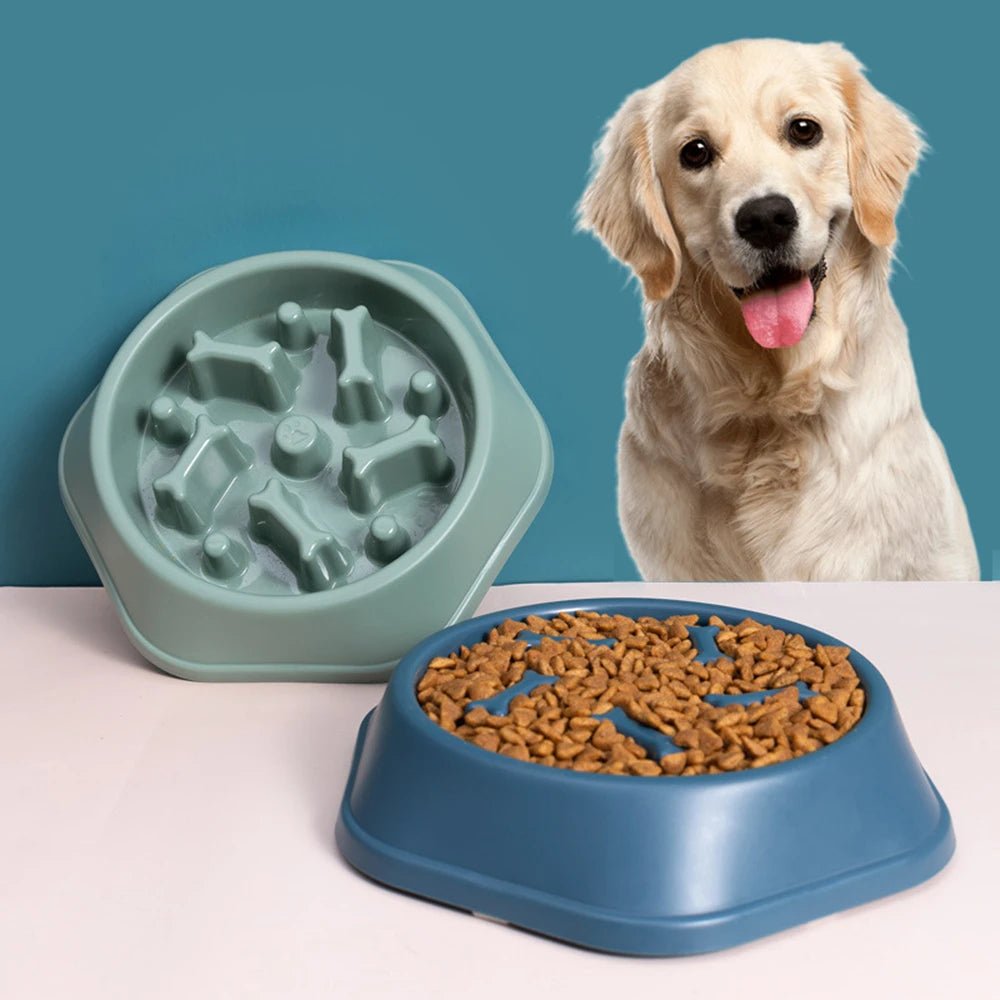Fördelarna med att använda slowfeeders för ditt husdjurs hälsa och välbefinnande