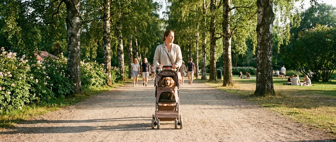 Kvinna som skjuter en djurvagn med en liten hund på en solig grusväg i en sommarpark - Djurslottet