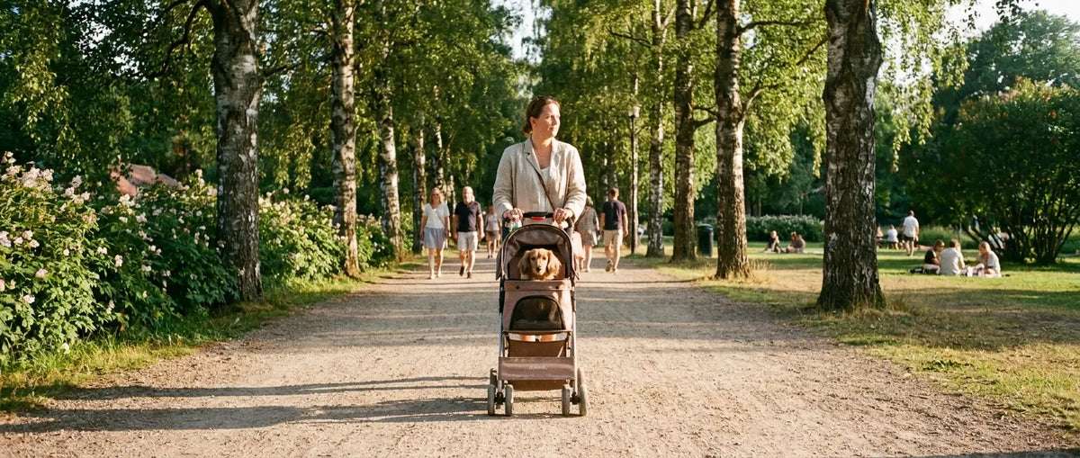 Kvinna som skjuter en djurvagn med en liten hund på en solig grusväg i en sommarpark - Djurslottet