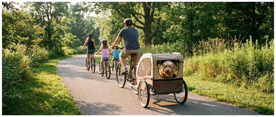 Familj cyklar på parkväg med täckt djurvagn där en mellanstor hund tittar ut - Djurslottet