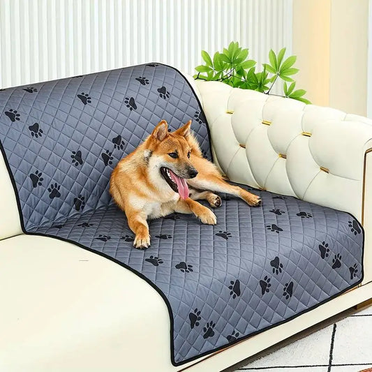 Skydda dina möbler och soffor från din hund och katt - Tips och råd - Djurslottet