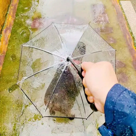 Skydda din hund från regn och snö under promenader