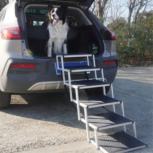 Hundtrappa & hundramp för valpar och äldre hundar med ledproblem - En innovativ lösning till alla hundägare