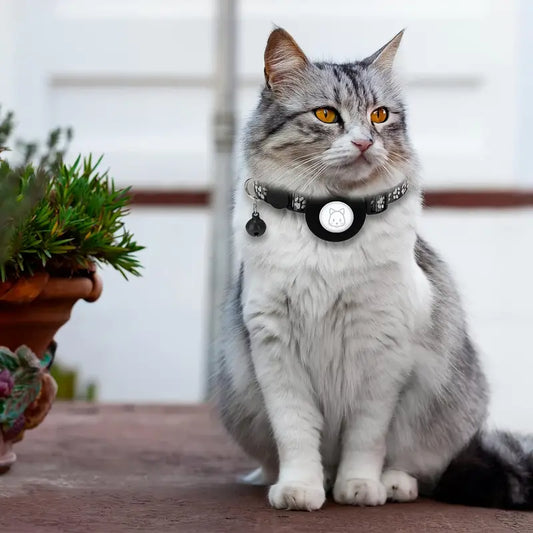 Så Skyddar Du Din Utekatt: Praktiska Tips och Råd för kattägare