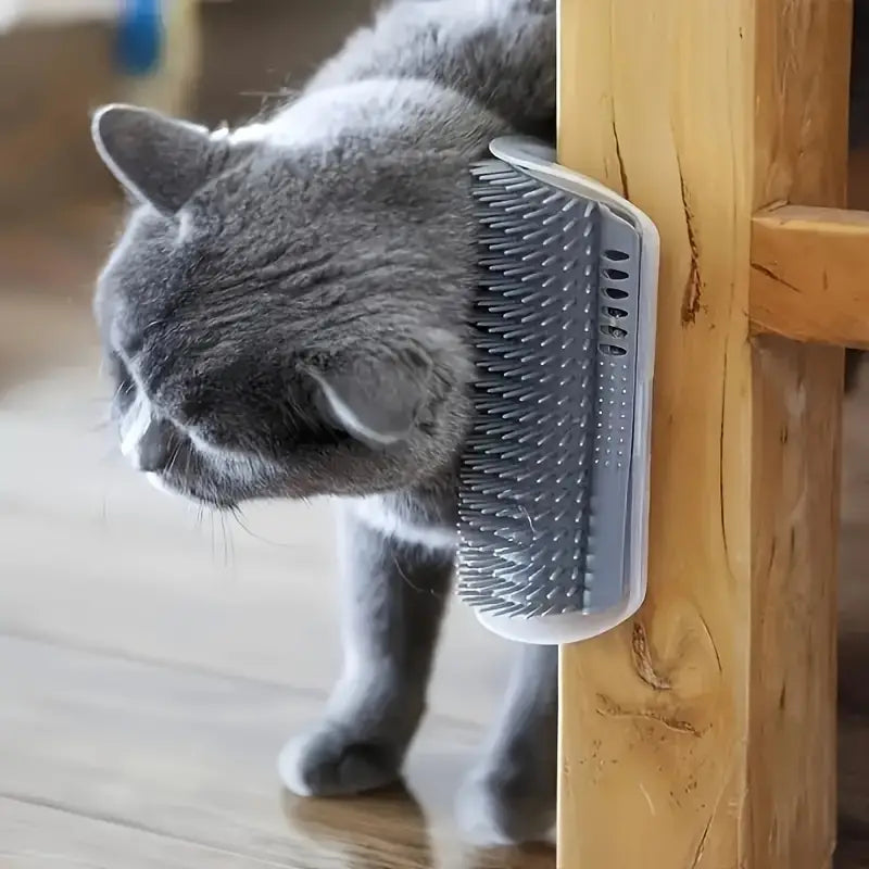Katt hörn-massageborste - Tips och råd för pälsvård för katter