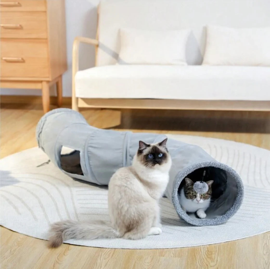 kattunnel bäst i test - Djurslottet